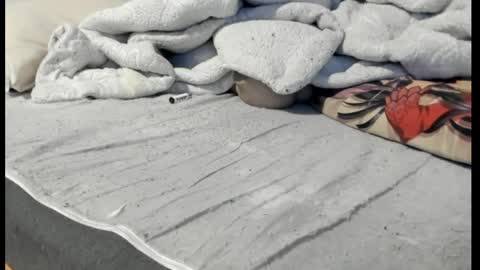 Snapshot of luffykun300 chatting on 6, 4, 2026 luffykun300 online show from 6, 4, 2026