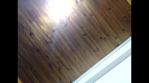 Snapshot of luis2988z chatting on 25, 4, 2026 Hairyman online show from 25, 4, 2026