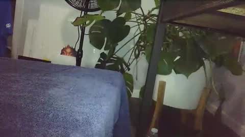 Luke online show from 14, 2, 2026