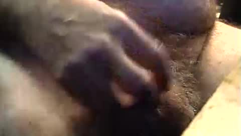 lukestarfckr online show from 11, 9, 2025