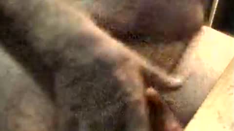 lukestarfckr online show from 10, 11, 2025