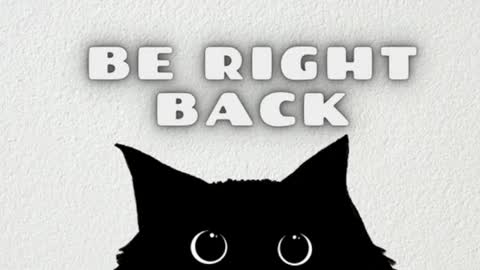 elizabeth online show from 20, 3, 2026