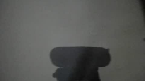 Emily online show from 25, 6, 2026