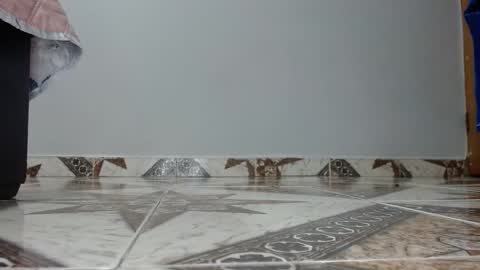 Luna--Blueberry online show from 14, 12, 2025