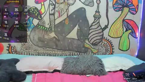 luna_gc online show from 6, 11, 2025