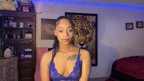 Snapshot of lunaa_11 chatting on 8, 12, 2024 lunaa_11 online show from 8, 12, 2024