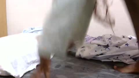 Snapshot of lunargoddess45 chatting on 3, 3, 2026 lunargoddess45 online show from 3, 3, 2026