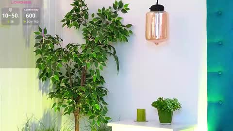 Luna online show from 26, 11, 2025