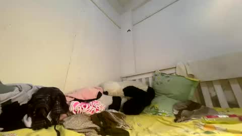 Snapshot of luscious_nita chatting on 3, 4, 2026 Luscious nita online show from 3, 4, 2026