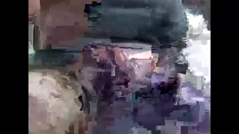 lutorres online show from 16, 11, 2025