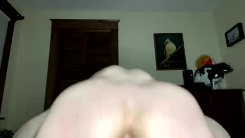 lyle blue online show from 7, 2, 2026