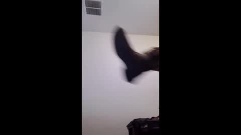 Snapshot of m2tonerfux chatting on 25, 4, 2026 m2tonerfux online show from 25, 4, 2026