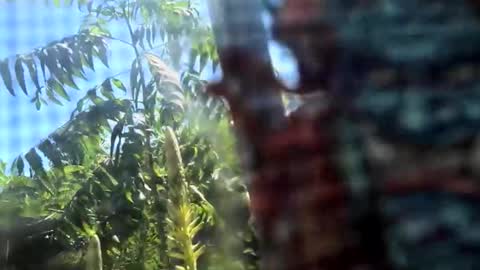 Snapshot of m444rk chatting on 15, 2, 2026 SLoppYxXPeeHoLeXxGspotxX online show from 15, 2, 2026