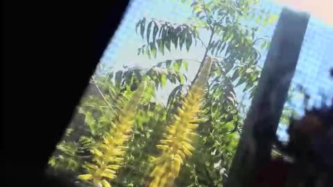 Snapshot of m444rk chatting on 22, 2, 2026 SLoppYxXPeeHoLeXxGspotxX online show from 22, 2, 2026