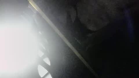 Snapshot of m444rk chatting on 3, 4, 2026 SLoppYxXPeeHoLeXxGspotxX online show from 3, 4, 2026