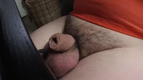 Snapshot of madwolf003 chatting on 21, 1, 2025 HOTnHORNY online show from 21, 1, 2025