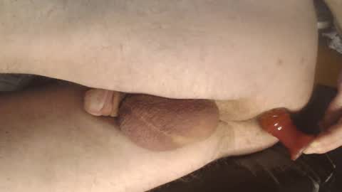 maestro2017 online show from 14, 12, 2024