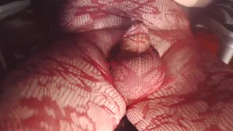 maestro2017 online show from 26, 2, 2025