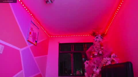   online show from 21, 1, 2025