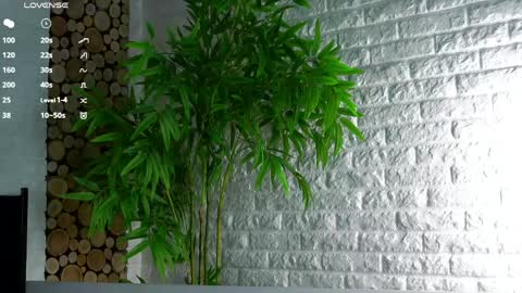 Snapshot of maidabuoy chatting on 8, 4, 2026 Lucy online show from 8, 4, 2026