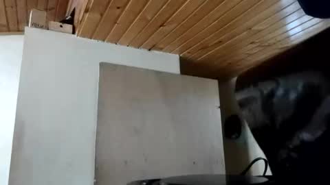 Snapshot of maite_stone1 chatting on 31, 10, 2025 MAITE STONE1 online show from 31, 10, 2025