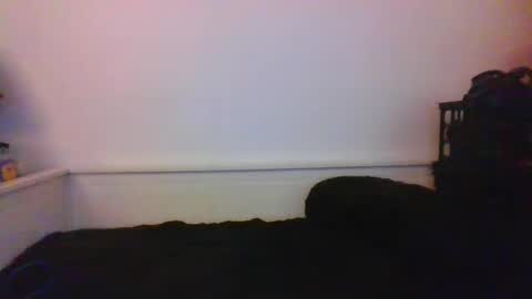 Snapshot of malebdsmslut chatting on 24, 1, 2025 CommandbondageNipples bondage kink submissive lovense slave wgear. modequiethvyBondage If Password goldfish online show from 24, 1, 2025