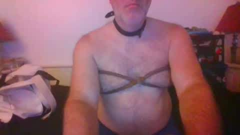 Snapshot of malebdsmslut chatting on 14, 10, 2025 CommandbondageNipples bondage kink submissive lovense slave wgear. modequiethvyBondage If Password goldfish online show from 14, 10, 2025