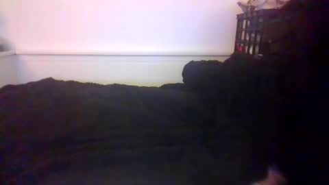 Snapshot of malebdsmslut chatting on 20, 10, 2025 CommandbondageNipples bondage kink submissive lovense slave wgear. modequiethvyBondage If Password goldfish online show from 20, 10, 2025