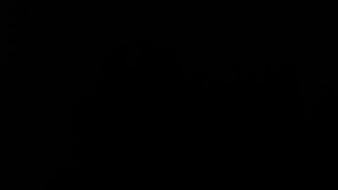 Alice Asylum online show from 20, 11, 2025