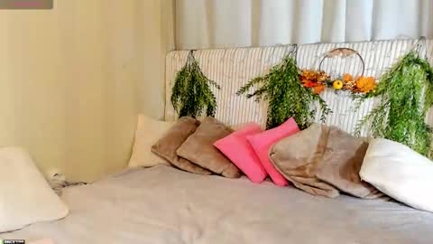 Masha online show from 2, 11, 2025