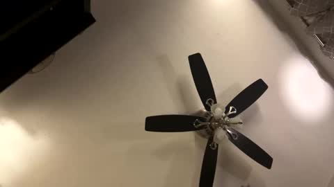 Snapshot of man4limitlessfun chatting on 21, 11, 2025 Kaleb online show from 21, 11, 2025