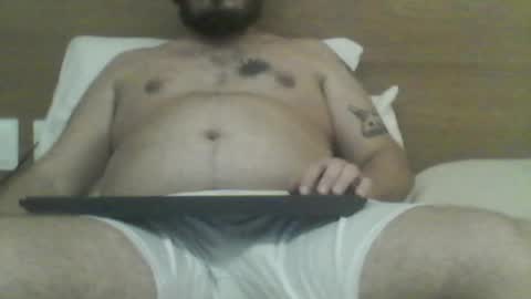 manatee bear online show from 22, 12, 2025