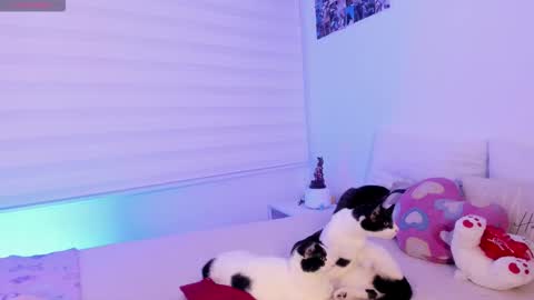   online show from 2, 2, 2026