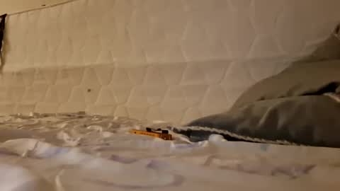 Snapshot of maniak_paraphiliacz chatting on 17, 3, 2026 Jan and Man online show from 17, 3, 2026