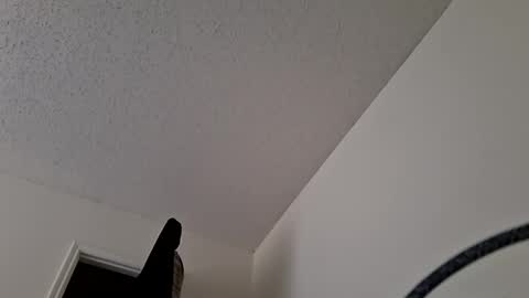 Snapshot of maniak_paraphiliacz chatting on 31, 3, 2026 Jan and Man online show from 31, 3, 2026