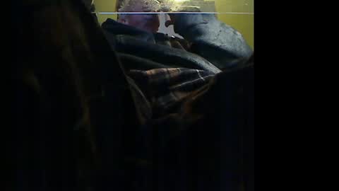 Snapshot of manufocus chatting on 9, 1, 2026 Manu online show from 9, 1, 2026