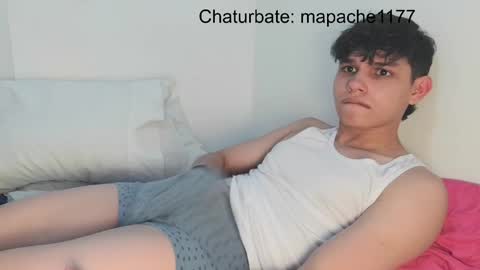 Snapshot of mapache1177 chatting on 8, 5, 2026 mapache1177 online show from 8, 5, 2026