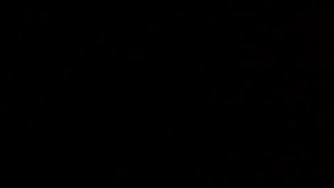 Elle online show from 4, 12, 2025