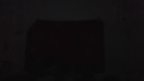 casal delicia online show from 14, 2, 2026