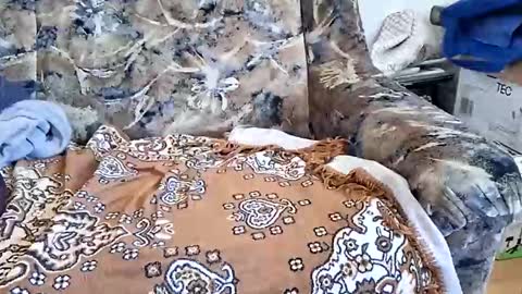 Snapshot of marian20242025 chatting on 11, 3, 2026 marian20242025 online show from 11, 3, 2026