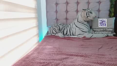 mariaribeiro online show from 7, 1, 2026