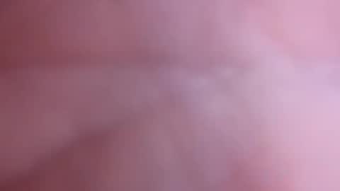 Snapshot of mark2711568331 chatting on 4, 11, 2025 mark2711568331 online show from 4, 11, 2025