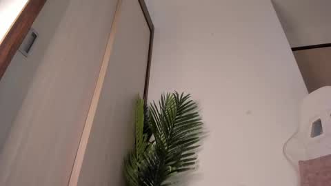 markus... Y online show from 13, 12, 2024