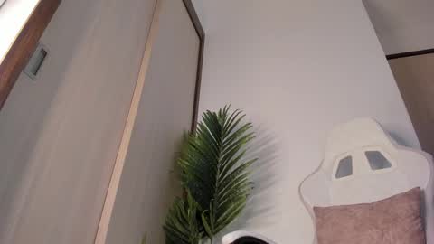 markus... Y online show from 29, 12, 2024