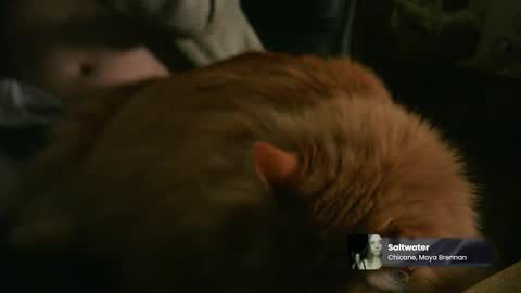 Snapshot of marnieccc chatting on 21, 2, 2026 marnieccc online show from 21, 2, 2026