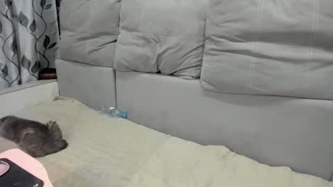 Snapshot of martaandserg chatting on 7, 4, 2026 martaandserg online show from 7, 4, 2026