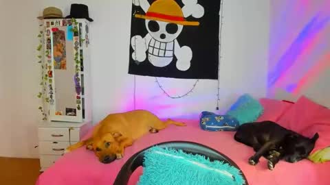 Snapshot of mary_jane1_ chatting on 18, 4, 2026 mary online show from 18, 4, 2026