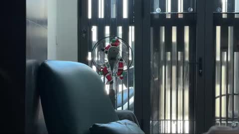 Snapshot of marygi chatting on 27, 3, 2026 Telegram - FlyingDutchmana online show from 27, 3, 2026