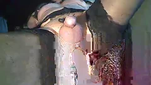 Snapshot of maschpro chatting on 26, 12, 2024 maschpro online show from 26, 12, 2024