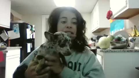 Mastress Luna online show from 21, 11, 2025